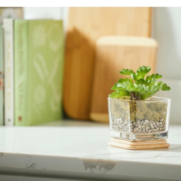 Yankee Candle Comforting Vanilla & Honey Well Living Collection Medium 11.25 oz - Picture 4 of 5